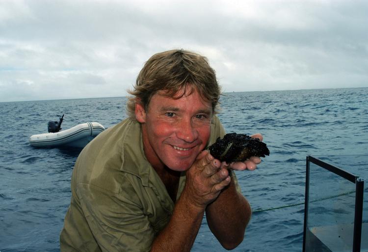 Giftig. Den nu afdøde dyreekspert, Steve Irwin, kæler med en giftig stenfisk. 