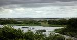 VOKSEVÆRK. Skjern Å fordeler sig i fire løb ud i Ringkøbing Fjor, og deltaet vokser hele tiden ud i fjorden, men der vil gå lang tid, inden man kan cykle til Hvide Sande. 