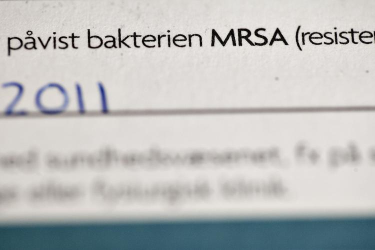 Stadig flere bliver smittet med multiresistente og dermed farlige stafylokokker. 