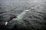 BADEKLAR. Iført sort neopren starter havsvømmerne badesæsonen den første søndag i maj med arrangementer over hele landet. 