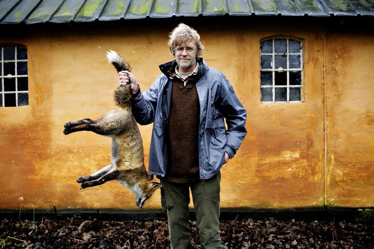 ræven. »Der kommer aldrig en ræv indenfor hos mig. Mit mål er ikke at holde ræv; det er at holde dem væk« 
