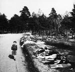 rædslen. Første Verdenskrig var et totalt moralsk kollaps, der tog livet af ni millioner mennesker. Her må en dreng passere dynger af lig på sin vej. 