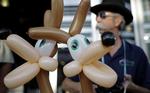 klapperslange. Ballon-kunstneren Ernie Shawn sælger maskotter før kampen mellem San Antonio Spurs og Portland Trail Blazers. Ballondyret er hjemmeholdets maskot, en prærieulv, som udeholdet sikkert gerne ville have haft ved hånden i omklædningsrummet for gøre det af med en klapperslange. 