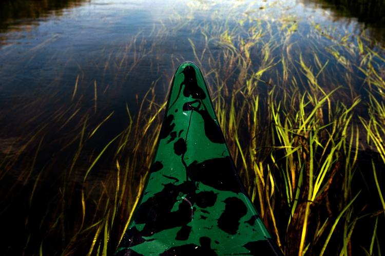 Virkelighedsfjernt. Naturstyrelsen er kommet frem til at 38 procent af åerne har god tilstand for både smådyr, fisk og planter. Det er fejlagtigt ifølge flere eksperter. 