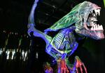 SKRÆMMENDE. Filmen Alien og dens frygtindgydende rumvæsner fik flere opfølgere. Her ses 'the Alien Queen' på en udstilling i USA. (arkivfoto) 