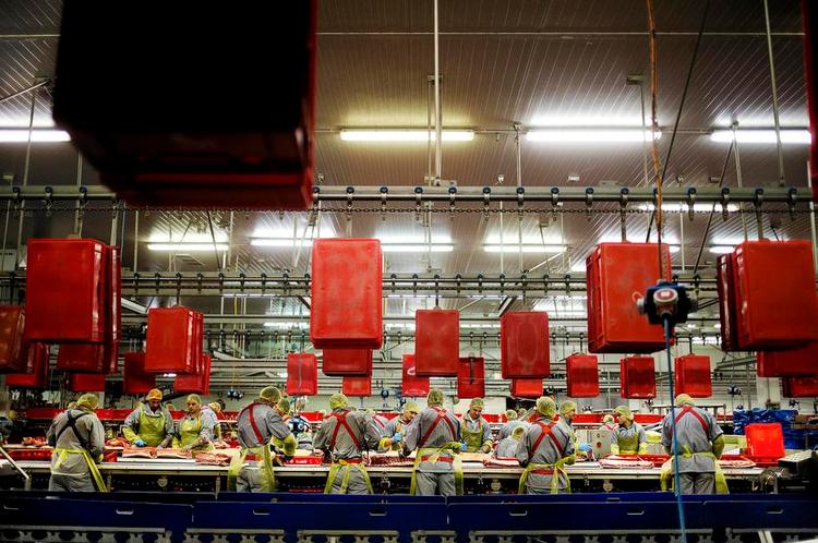 løn. De tyske slagteriarbejdere er blandt taberne på jobmarkedet. De tjener i gennemsnit 109 kr. mindre i timen end deres danske kolleger. 