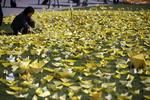 Sorg. En kvinde sætter et papirsskib ved et mindested i Seoul for de omkomne i forliset af den sydkoranske færge Sewol. 