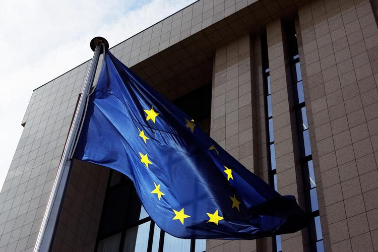 skepsis. Tilsammen ventes EU-skeptikere, eurofober og populister at få mellem 180 og 220 pladser af Europarlamentets 751 pladser, hvorfor de kommer til at præge hverdagen. 