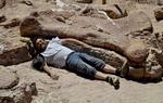 Fund. Argentinske forskere mener at have fundet verdens hidtil største dinosaur. Den var 40 meter lang og 20 meter høj. Her ligger palæontologen Jose Ignacio Canudo ved siden af en to meter lang lårbensknogle. Den store dinosaur havde en vægt på 77 ton, hvilket svarer til 14 afrikanske elefanter. 
