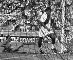frisparksfinter. Teofilo Cubillas har scoret ved VM i 1970, hvor han var med til at spille Peru i kvartfinalen. Cubillas regnes for at være historiens bedste peruvianske fodboldspiller. 