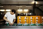 jobrotation. Coloplast bliver kritiseret for at nedlægge jobs i Danmark og oprette nye i Ungarn med EU-støtte. 