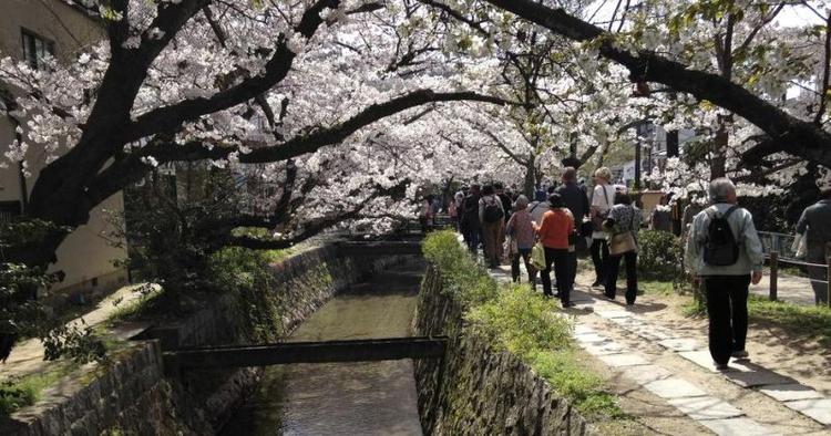 Tankevirksomhed. Filosofstien ved sølvtemplet i Kyoto er et dejligt sted at tænke dybt over tilværelsen. 