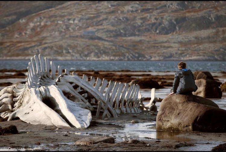 Havuhyret. Skelettet af en strandet hval antager symbolsk styrke i den russiske film 'Leviathan', hvor Bibelens frygtelige havuhyre kobles sammen med statsmagten i Putins Rusland. 