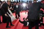 67th Cannes Film Festival - 'How To Trains Your Dragon 2' Premiere