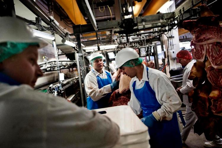 Billigt. På Danish Crowns slagteri i tyske Oldenburg tjener polske slagteriarbejdere 10 euro (75 kroner) i timen mod en dansk slagteriarbejders akkordløn på 190 kroner. 