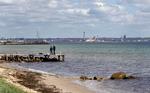 Badning. Skotterup ved Helsingør er en af de strande, hvor badevandskvaliteten afhænger af, om det regner så meget, at der ledes kloakvand ud i havet. 
