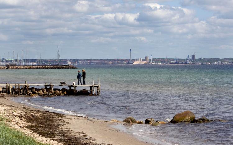 Badning. Skotterup ved Helsingør er en af de strande, hvor badevandskvaliteten afhænger af, om det regner så meget, at der ledes kloakvand ud i havet. 