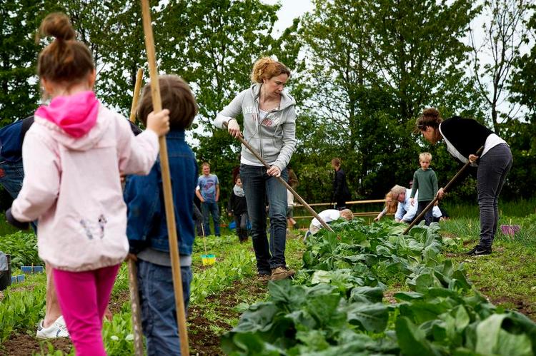 Frirum. 11 børnefamilier fra byen er rykket ud på landet for at dyrke grøntsager og få et pusterum. 