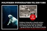 Endsplash PLAKATSALG JUNI 2014