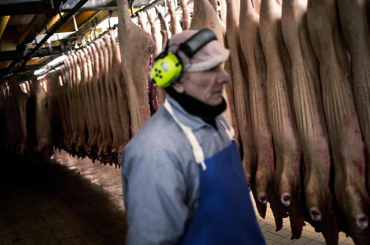 FREMTID. Slagteriet i Rønne lukker, hvis NNF og Danish Crown ikke finder løsning. 