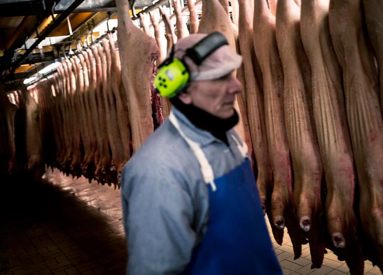 »Råvaregrundlaget i form af slagtesvin er truet, når danske landmænd kører 10 millioner smågrise til Tyskland og Polen«, siger leder på institut for Fødevare- og Ressourceøkonomi på Københavns Universitet, Henrik Zobbe. 