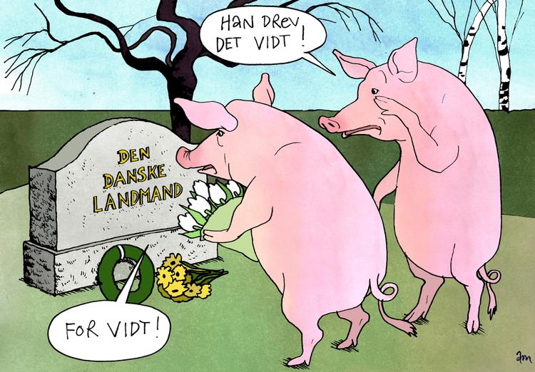 Tegning: Anne-Marie Steen Petersen 