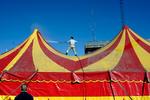Cirkus Arena