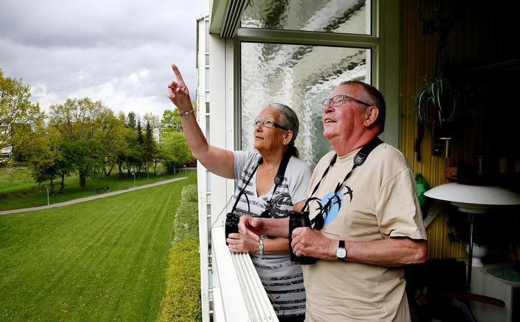 I kikkerten. Vivian Foldager og Jørgen Hansen fra Hvidovre er begejstret for alliker og ikke al-Quada. Alligevel  bliver han altid tilbageholdt og afhørt, når parret rejser ud i verden for at studere fugle. Foto: Finn Frandsen 