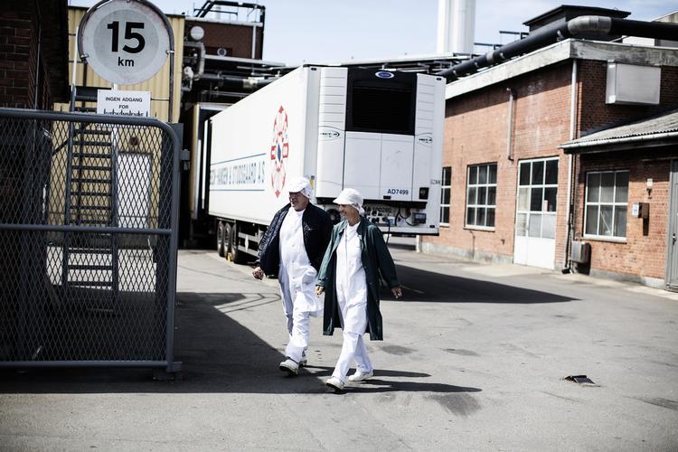 stor. Slagteriet i Rønne er en stor lokal arbejdsplads med 190 ansatte, men i Danish Crown-regi er det en lille afdeling, som 'kun' slagter 8.500 svin om ugen. 