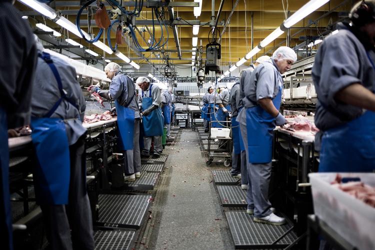 redningskrans. Danish Crowns slagteri i Rønne er reddet fra lukning, hvis de 190 ansatte i næste uge stemmer ja til at lægge en del af lønnen i en investeringsfond. 
