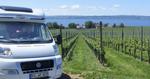 Vin. Bodensee og Alperne, vin og god mad. Det hele er bekvemt inden for rækkevidde og kan nydes uden fare for spirituskørsel, f.eks. når man har huset med på rejsen. 