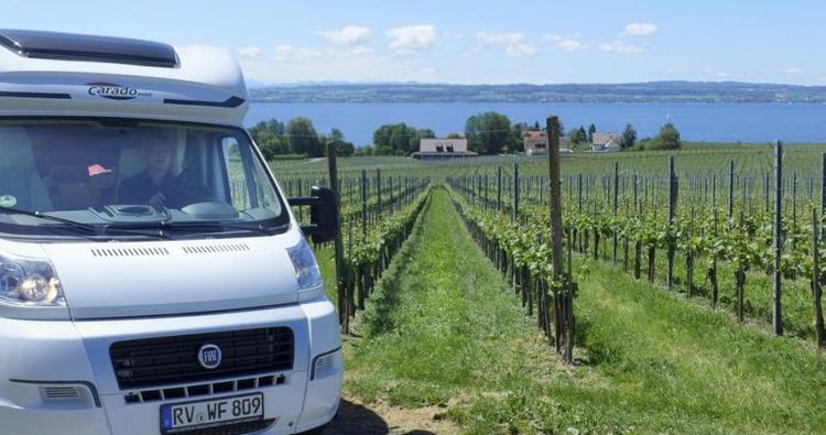 Vin. Bodensee og Alperne, vin og god mad. Det hele er bekvemt inden for rækkevidde og kan nydes uden fare for spirituskørsel, f.eks. når man har huset med på rejsen. 