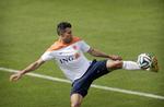Kaptajnen. Van Persie, der har 43 scoringer i 84 landskampe på sit cv, bliver klar til stormødet med Spanien. 