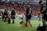 SIT. Politi med hunde er med til atopretholde ro og orden på det storestadion Maracana i Rio de Janeiro. 