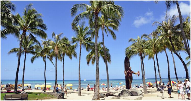 TOPPEN. Hawaii, her Duke Beach i Honolulu, og Florida er som sædvanlig med på Dr. Beach's liste over USA's bedste strande. 