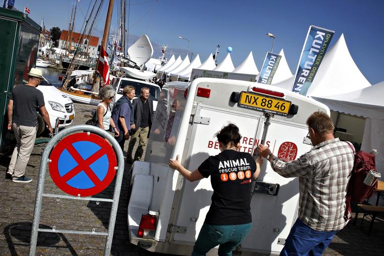 Op mod 20.000 politikere, lobbyister, organisationer, journalister og andet godtfolk ventes at deltage. På det officielle program er der flere end 2.000 arrangementer. 