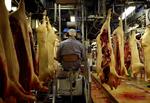 Sparekniv. Mange slagteriarbejdere frygter at miste jobbet. Det udnytter arbejdsgiverne, mener fødevareforbundet NNF. 