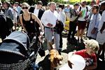 Dyreven. Lars Løkke Rasmussen havde taget sin hund med på Folkemødet i Allinge. 