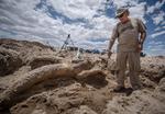gammelt. Palæontolog Gary Morgan står i Elephant Butte State Park i New Mexico i USA og inspicerer kraniet af en forhistorisk elefant, der levede på jorden for over 3 millioner år siden. 