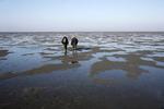Verdensarv. Vadehavet og Stevns Klint vil qua deres nyerhvervede titler som verdensarv kunne tiltrække mange turister. 