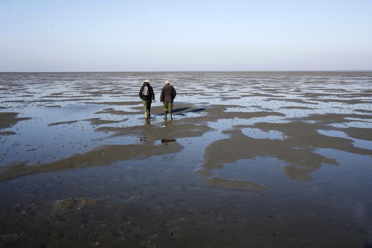 Verdensarv. Vadehavet og Stevns Klint vil qua deres nyerhvervede titler som verdensarv kunne tiltrække mange turister. 