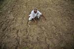Klima. En indisk landmand viser sin tørre mark i Ranbir Singh Pura. Klodens klima er blevet varmere. 