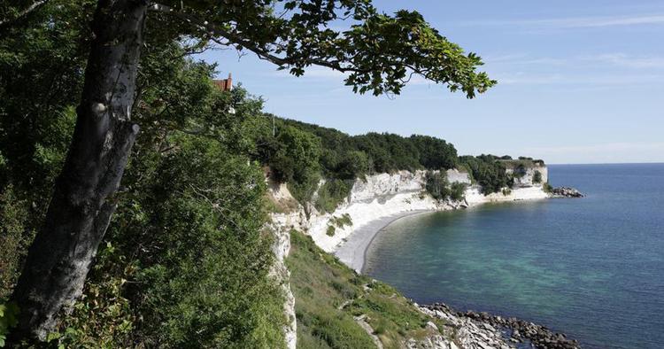 Verdensarv. Stevns Klint kom på verdensarvlisten ved en tilfældighed. 