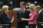 Kolleger. David Cameron var undervejs i dag omgivet af to af de politikere, som nævnes ofte på EU's rygtebørs, Litauens præsident, Dalia Grybauskaite, og Helle Thorning-Schmidt. 