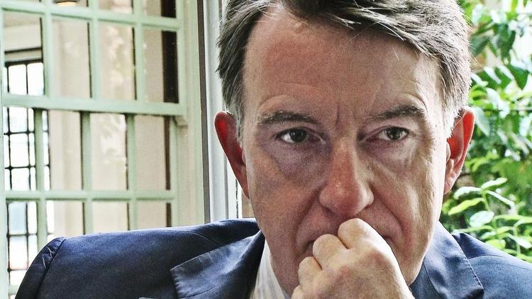 Portræt. Peter Mandelson blev hentet hjem fra en stilling som EU-kommissær for at hjælpe ved valget i Storbritannien i 2010, som er  dokumentarens omdrejningspunkt. Tidligere havde han været minister ad flere omgange, blandt andet erhvervs- og vicepremierminister. 