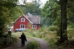 TURISTER. Det bliver en billigere sommerferie i år, hvis turen går til Sverige. Kursen på den svenske krone er faldet efter overraskende rentesænkning. (arkivfoto) 