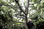 ALENE. Psykolog  Mathias Lasgaard siger,  at det uønskede og stigmatiserende ved at være ensom i dag er blevet forstærket af det store fokus, der er på at lykkes socialt. At have venner, parforhold og at have det ’rigtige’ liv. 