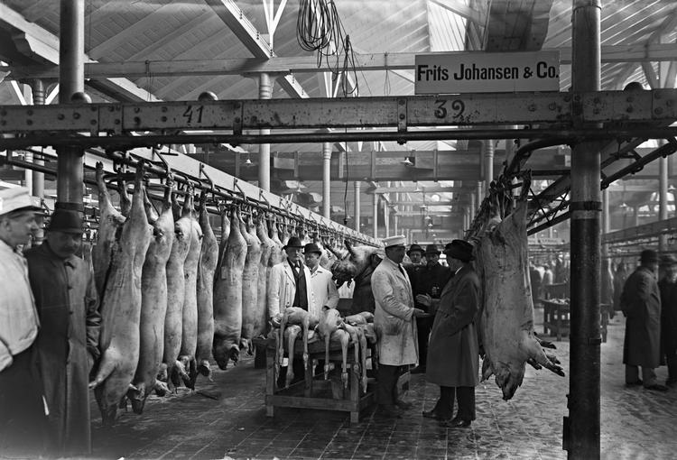 tilbagegang. I 1960 kulminerede andelsbevægelsen med over 60 svineslagterier i Danmark. I dag er der kun ét dominerende tilbage. Billedet er fra 1921 i Kødbyen i København. 