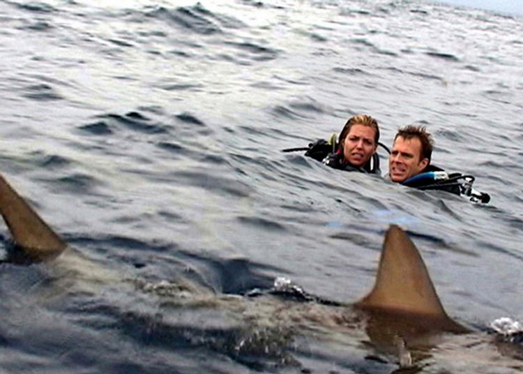 Gys. I 'Open Water' får himmel og hav en klaustrofobisk tone, når man ikke kan slippe væk. FOTO: Laura Lau 