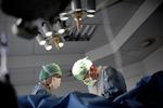 nyre. For netop nyretransplantationer kan levende donorer være en mulighed, og derfor har handlingsplanen et særskilt fokus på at få flere levende donorer. 